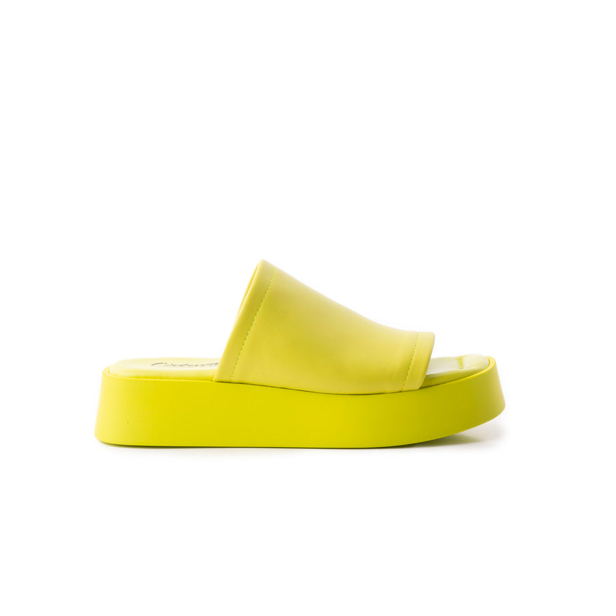 Dumpling Yellow Leather (6680030249040)